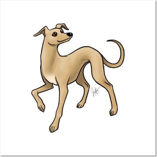 Dog - Italian Greyhound - Fawn Posters and Art